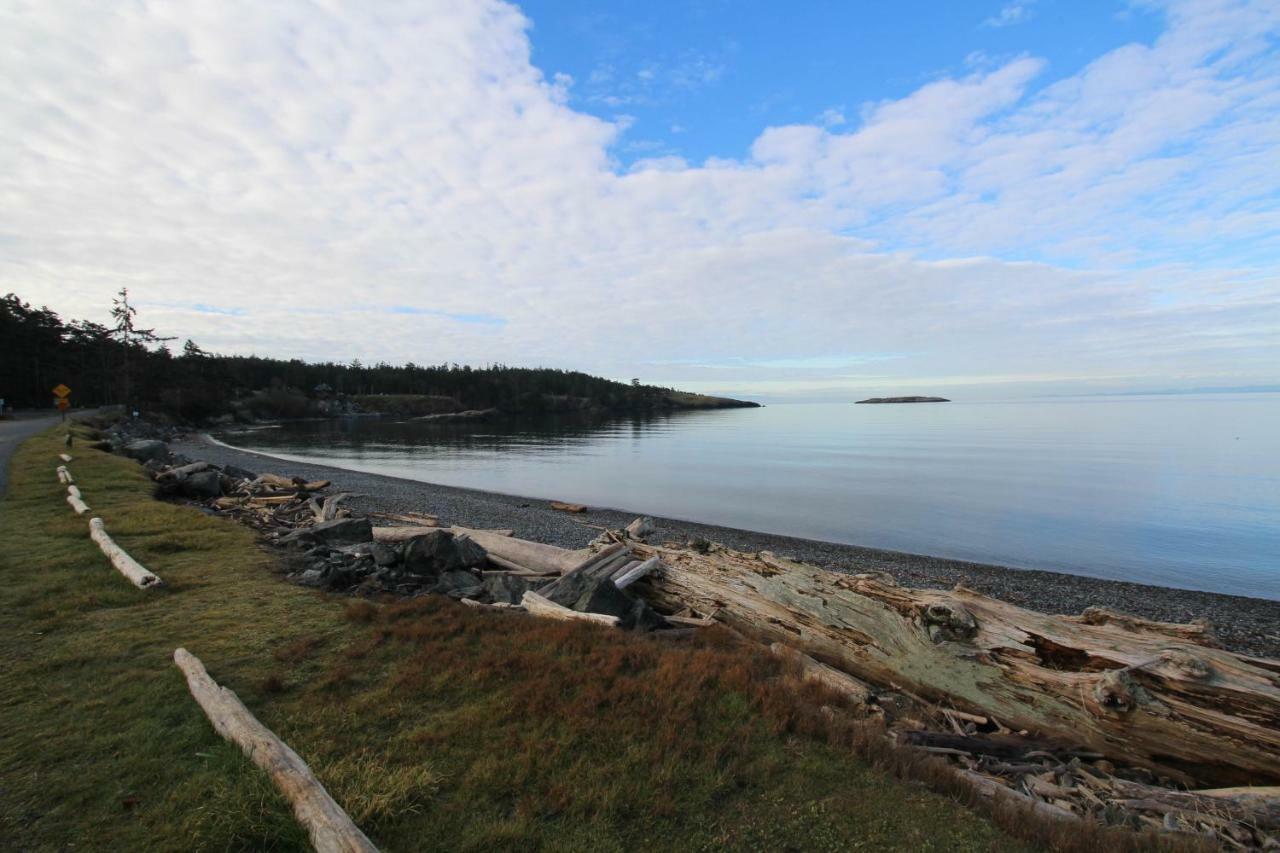 Lopez Island Agate Beach Waterfront Home Islandale Ngoại thất bức ảnh